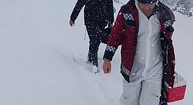 Bingöl'de Kapalı yollara rağmen çiftçileri yalnız bırakmıyorlar