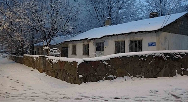 Bitlis ve Tatvan'da kar yağışı etkili oldu