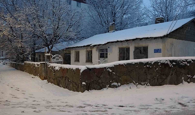 Bitlis ve Tatvan'da kar yağışı etkili oldu