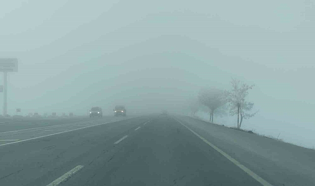 Bitlis'te sis etkili oldu, ağaçlar kırağı tuttu