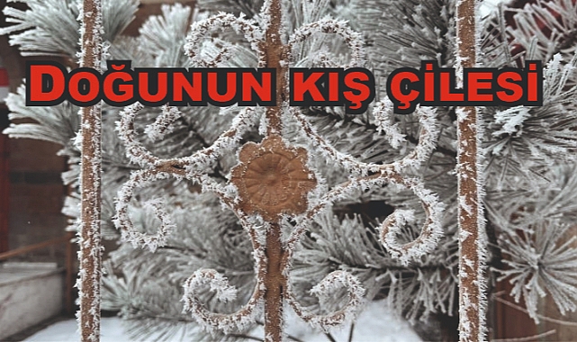 Doğu Anadolu bölgesinde dondurucu soğuklar etkisini sürdürüyor
