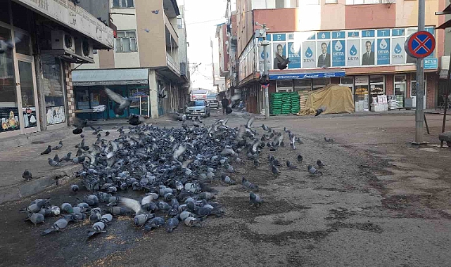 Duyarlı vatandaştan örnek davranış