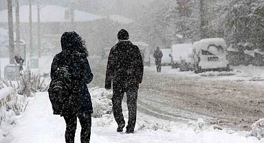 Erzincan'ın iki ilçesi buz tuttu