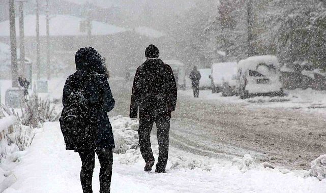 Erzincan'ın iki ilçesi buz tuttu