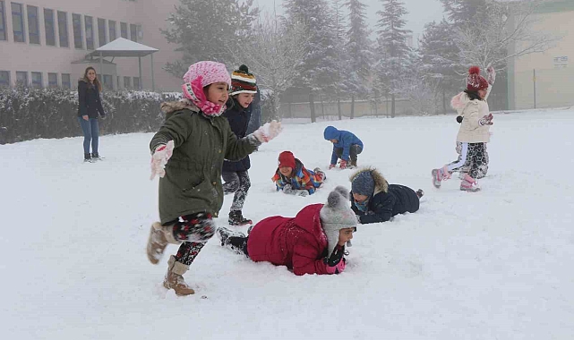 Erzincan'ın Refahiye ve Çayırlı ilçelerinde kar tatili