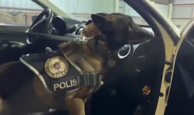 Erzurum'da narkotik Köpekleri Su ve Magnum yine affetmedi