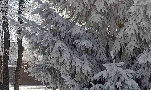 Göle'de hava eksi 27,7 derece: Araçlar soğuktan çalışmadı