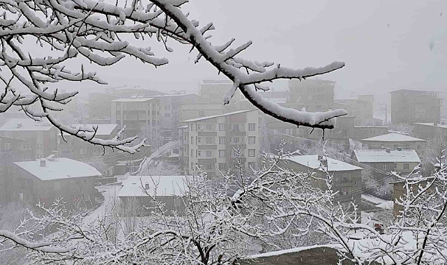 Hakkari'de kar yağışı ve yoğun sis etkili oluyor