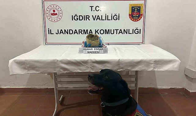 Iğdır'da kubar esrar ele geçirildi