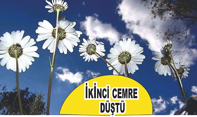 İkinci Cemre Suya Düştü: Bahar Adım Adım Yaklaşıyor