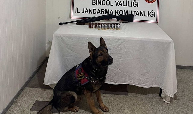 Jandarma araması bulunan 8 şüpheli yakalandı