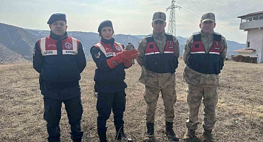 Jandarma Bingöl'de yaralı halde bulduğu atmacayı tedavi için yetkililere teslim etti