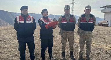 Jandarma Bingöl'de yaralı halde bulduğu atmacayı tedavi için yetkililere teslim etti