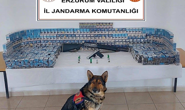 Kaçak sigara operasyonu