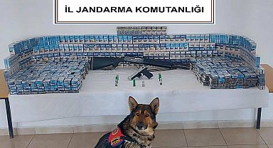 Kaçak sigara operasyonu