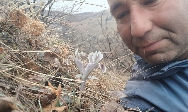 Kar kalınlığının 1 metreyi bulduğu kentte meyve ağaçları çiçek açtı
