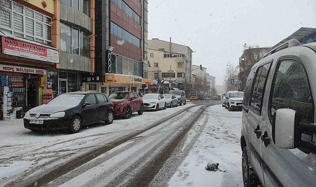 Kar yağışı Ardahan'da etkili oldu