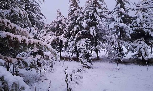 Kar yağışı hayatı olumsuz etkilemeye devam ediyor