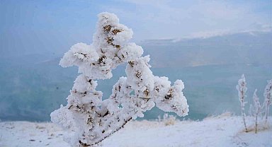 Kırağı tutan otlar pamuk tarlasını andırıyor