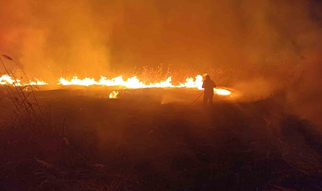 Malatya'da sazlık alanda yangın