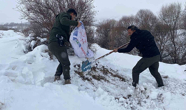 Malatya'da yaban hayvanları için yemleme çalışması