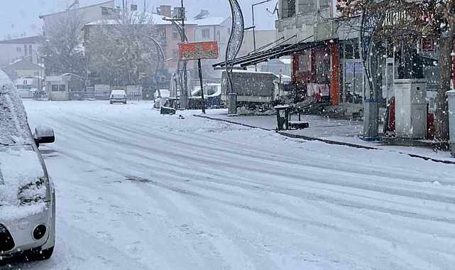 Muş Malazgirt'te kar yağışı