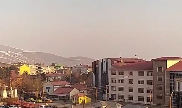 Muş'ta başıboş köpeklerden kaçan öğrenci yere kapaklandı