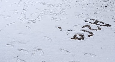 Patnos'ta kar yağışı etkili oldu