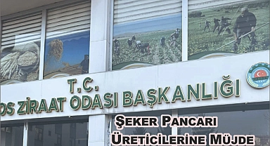 Patnos Ziraat Odası'ndan Şeker Pancarı Üreticilerine Müjde