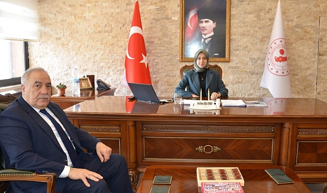 Tercan'da kurtuluş hazırlıkları devam ediyor