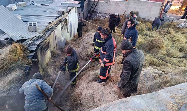 Tuşba'da ot yangını