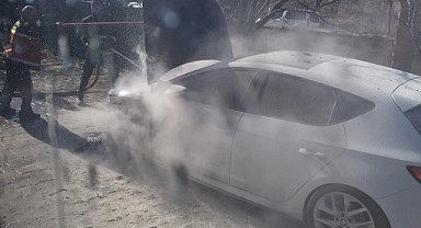 Van'da park halindeki otomobil alev alarak yandı