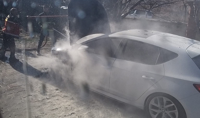 Van'da park halindeki otomobil alev alarak yandı