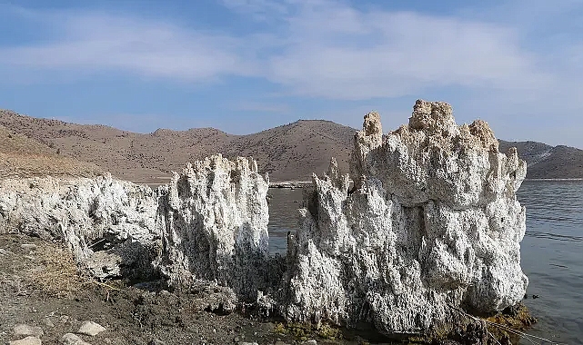 Van Gölü'nde Mikrobiyalitler Gün Yüzüne Çıkıyor