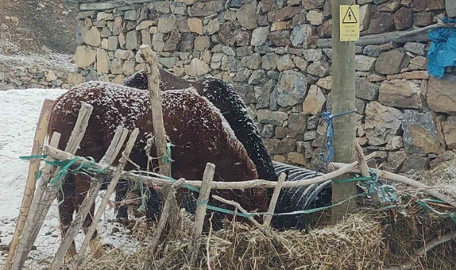 Van'ın Çatak ilçesinde akaşam saatlerin de kar yağışı etkili oldu