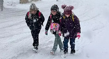Van'ın o ilçesinde eğitime kar engeli