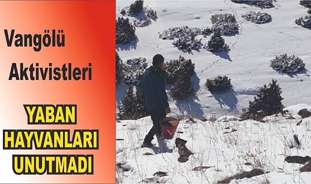 Vangölü Aktivistleri, kışın çetin döneminde yaban hayvanlarını unutmadı