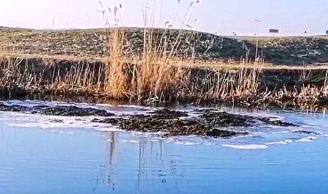 Yeraltından toprak fışkırıyor
