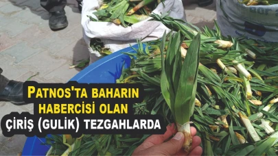 Patnos'ta baharın habercisi olan çiriş (gulik) tezgahlarda