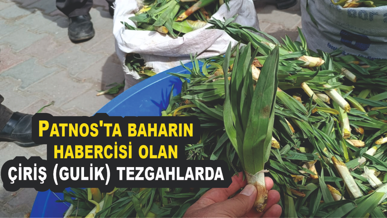 Patnos'ta baharın habercisi olan çiriş (gulik) tezgahlarda