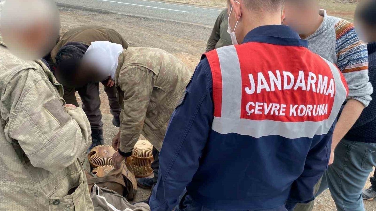 Jandarmadan kaçak avcılara baskın