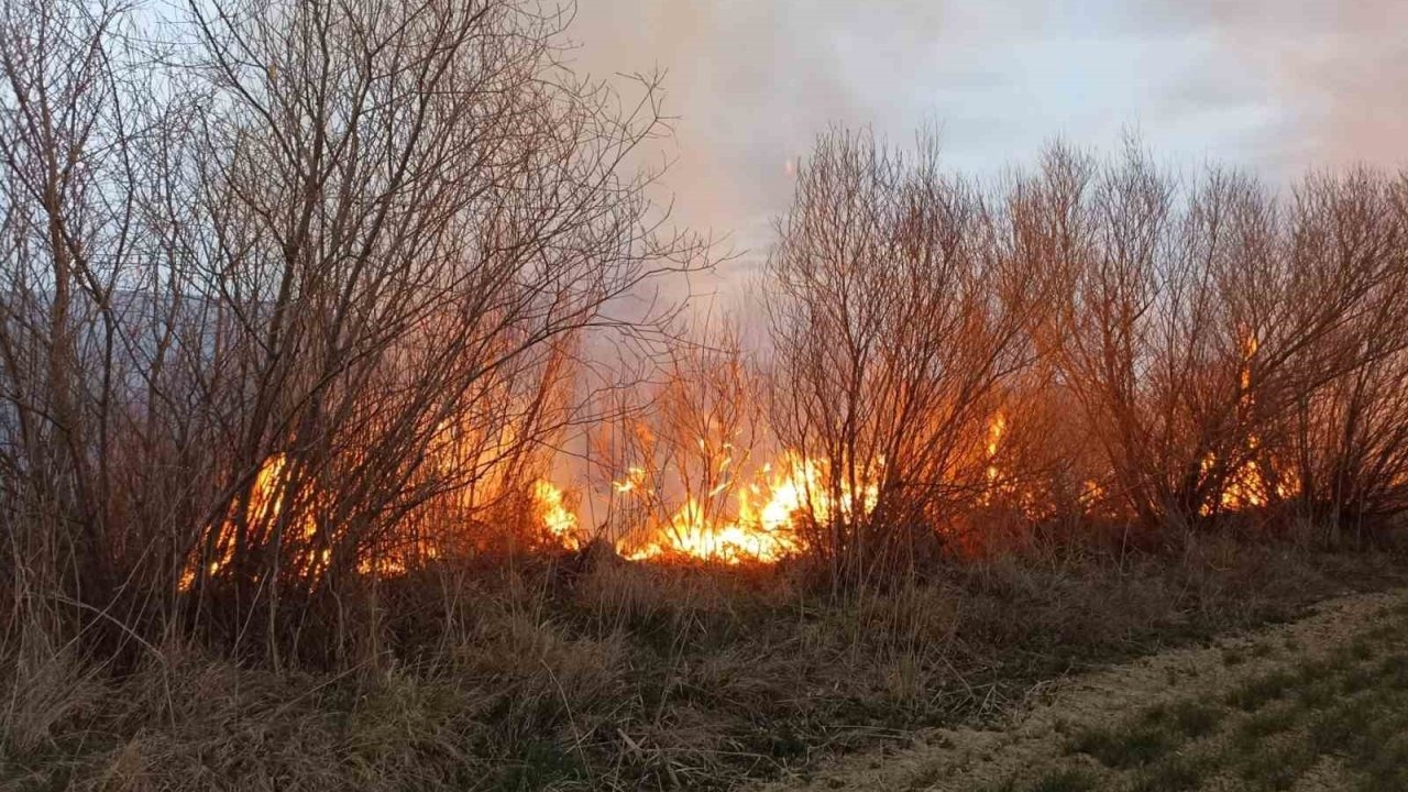 Malatya'da iki farklı noktada bahçe yangını