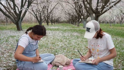 Kayısı ağaçlarından görsel şölen