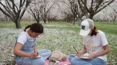 Kayısı ağaçlarından görsel şölen