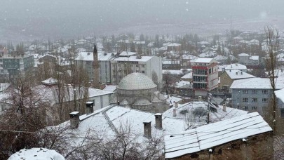 Van'ın Başkale İlçesi beyaza büründü