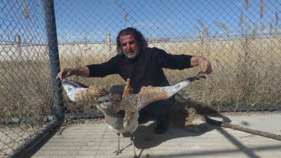 Nesli tükenme tehlikesi altındaki toy kuşu sağlığına kavuşuyor