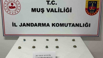 Jandarma 1 haftalık denetimde 206 kişi yakaladı