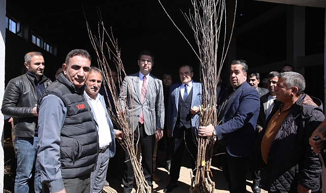 Erciş’te Çiftçilere Meyve Fidanları Dağıtıldı