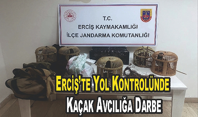 Erciş'te Yol Kontrolünde Kaçak Avcılığa Darbe
