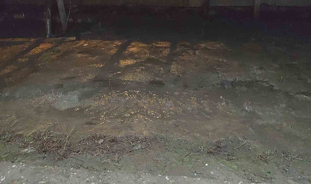 Erciş'te yağmur yağışı etkili oldu